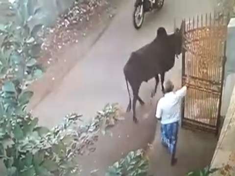 Funny video | whatsapp status video