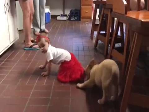 full baby fummy status video