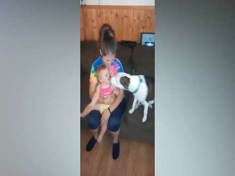 full baby fummy status video