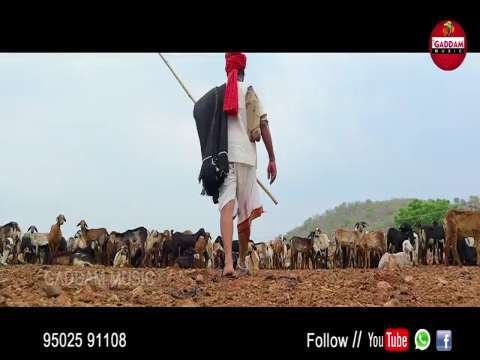 Rabari status desai status tealugu status tamil status tamil love status