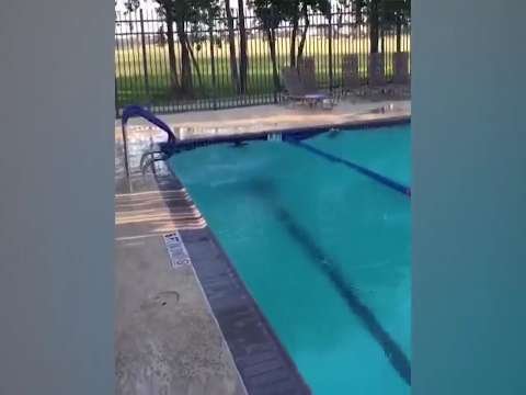 Funny video | whatsapp status video
