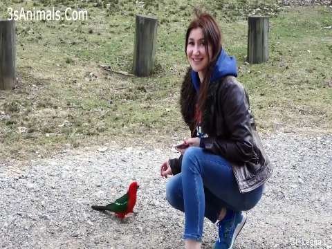 Funny video | whatsapp status video