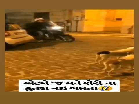 Funny video | whatsapp status video