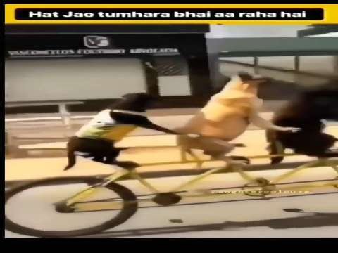 Funny video | whatsapp status video