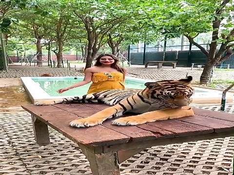 Badshah dialogue | TikTok video
