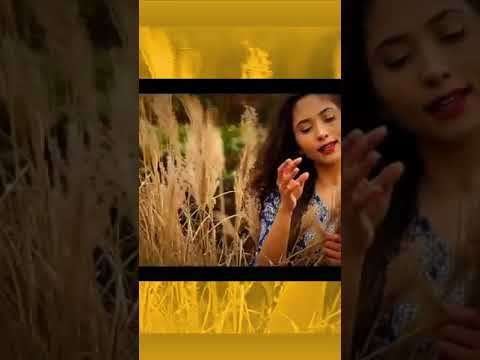 Tu hi re tere bina | female version | sad status video