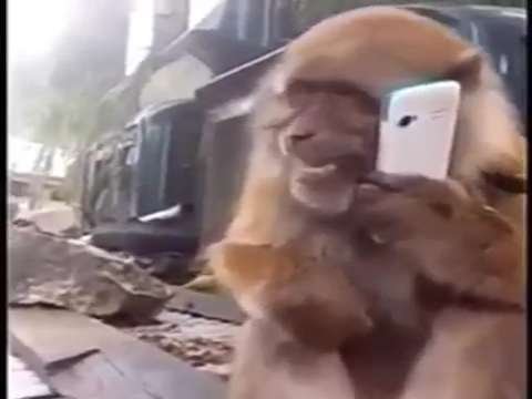 Comedy jokes whatsapp status व्हाट्सएप कॉमेडी चुटकुले | मजेदार thumbnail