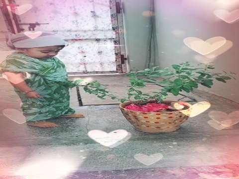 Good morning status lovely good babi morning सुप्रभात स्टेटस प्यारा गुड बाबी सुबह