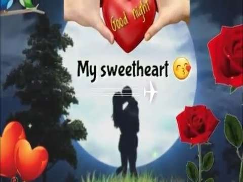 Good night lovely nighe sweet night yade good night status hit night | शुभ रात्रि प्यारी स्टेटस खूबसूरत रात यादे शुभ रात्रि मीठी रात स्टेटस