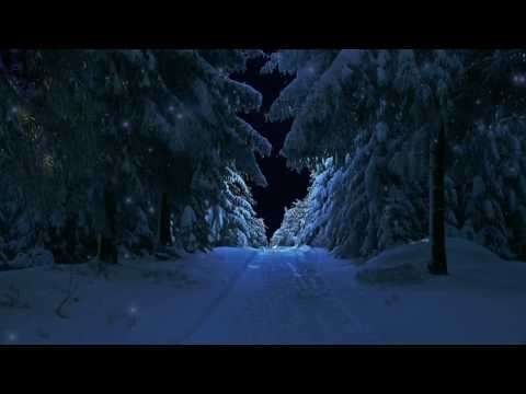 Merry christmas | christmas status video