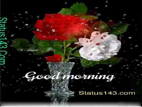 Good morning status lovely morning