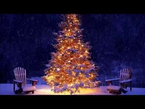 Merry christmas | christmas status video