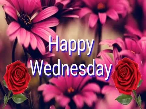 Happy wednesday good morning status