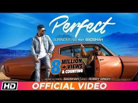 Perfect | BADSHAH | Swaalina | status video