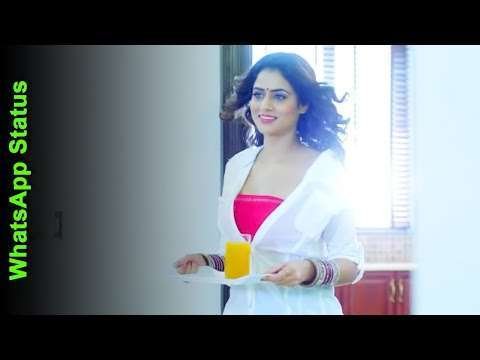 Ve tu laung ve me lachi | romantic status video