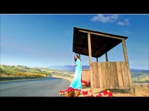 Akh lad jjave | Loveyatri | love status video
