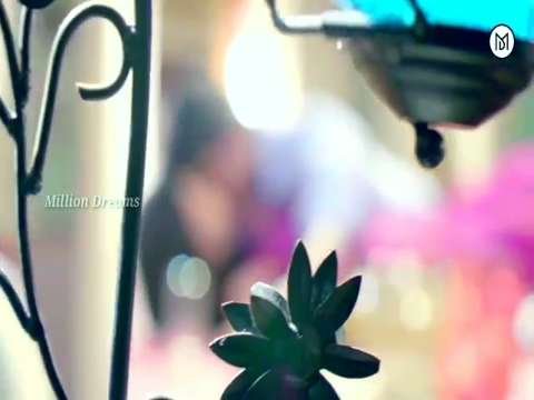 New whatsapp status video | cute couples | love status