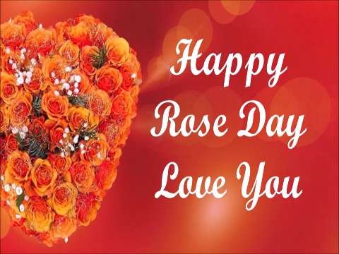Rose Day Status | Happy Rose Day Whatsapp Status | Valentine Special trending status