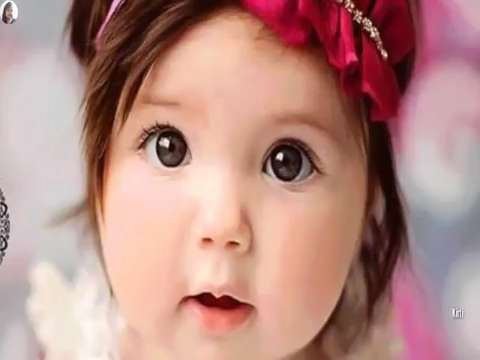 Brithday status choti si pyari si nanhi si aai koi pari whatsapp video status