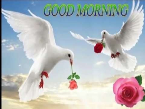 Best good morning status thumbnail