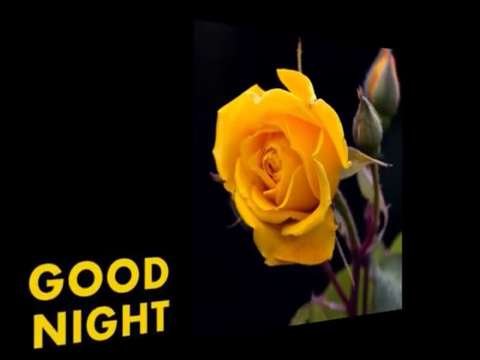 Good night | best good night status video