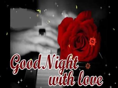 Good night | best good night status video | whatsapp status video