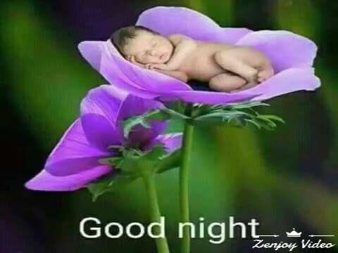 Good night | best good night status video | whatsapp status video