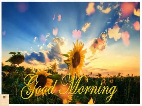 Best morning whatsapp video status | morning video status download