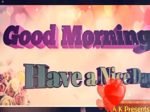 Good morning video status with quotes | happy morning video status