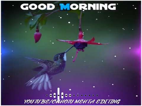 Good morning video status | lovely song good morning video status