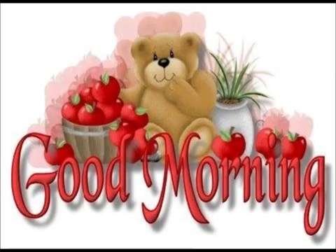Lovely good morning video status | good morning whatsapp status video | good morning video status for download