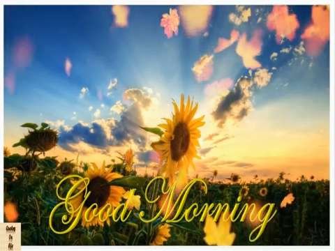 Good morning status | cute god love status lovely morning | simple good morning video status