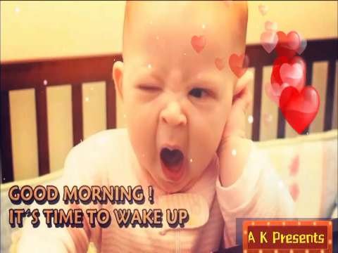 Good Morning Status Video | good morning status in English Download thumbnail