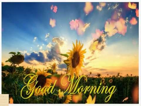 Good Morning Video Status | Beautiful Morning status video thumbnail