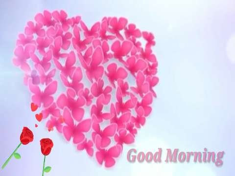 Good Morning Whatsapp Status Video Download | Best good morning whatsapp video status thumbnail