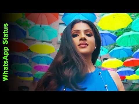 Hum Tumhare Hain Sanam | romantic status video