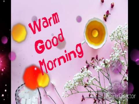 Good Morning Whatsapp status video thumbnail