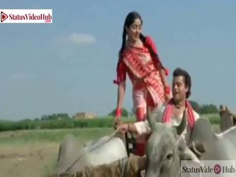 Lamberghini Chalai Jande Oh Desi Version | Funny Whatsapp Video Status