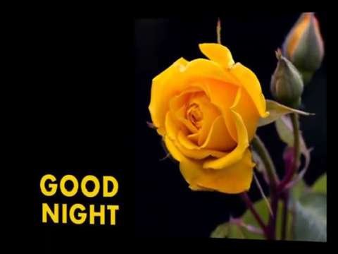 Good Night Love Status | Good Night Status