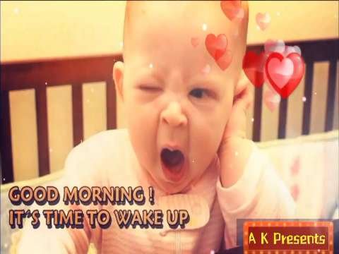 Good morning video status | good morning vwhatsapp status download | good morning lovely status thumbnail