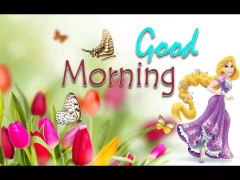 Good Morning Status Whatsapp Video | Good Morning Status thumbnail