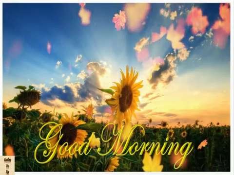 Good Morning Wishes | Have A Sweet Day Status | Good Morning Whatsapp Status Video thumbnail