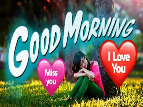 Miss You Love You Good Morning Status | Good Morning Status Video | Good Morning Whatsapp Status Video thumbnail