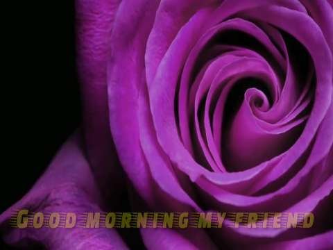 Good Morning Status | Good Morning Status Video | Good Morning Whatsapp Status Video thumbnail