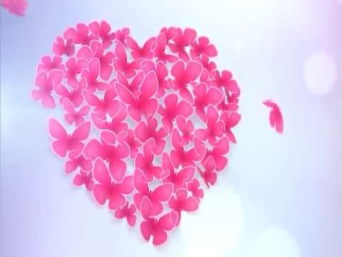 Good Morning Status | Good Morning Status Video | Good Morning Whatsapp Status Video thumbnail