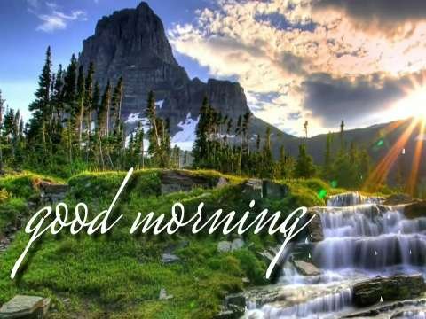 Good Morning Video Status | good morning whatsapp status download | good morning lovely status