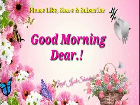 Good Morning Video Status | good morning whatsapp status download | good morning lovely status