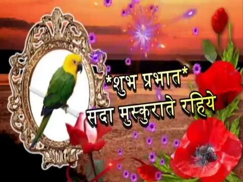 Good Morning Video Status | good morning whatsapp status download | good morning lovely status
