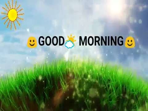 Good Morning Video Status | good morning whatsapp status download | good morning lovely status