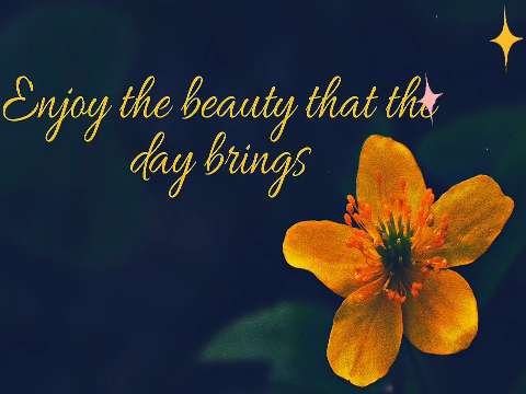 Good Morning Video Status | good morning whatsapp status download | good morning lovely status
